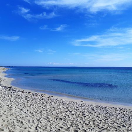 Le Case Di Pat - Palms Home San Pietro in Bevagna Kültér fotó