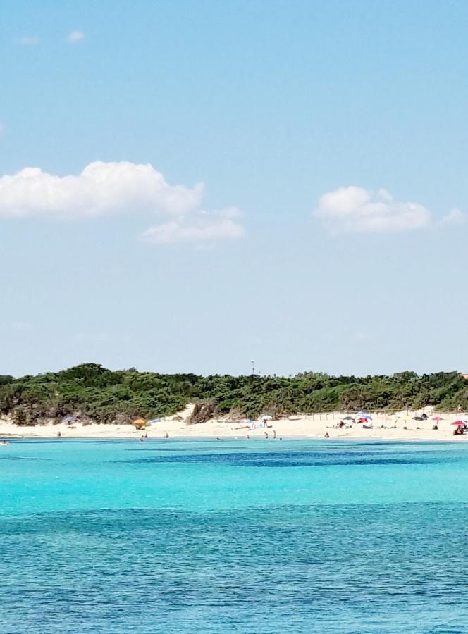 Le Case Di Pat - Palms Home San Pietro in Bevagna Kültér fotó