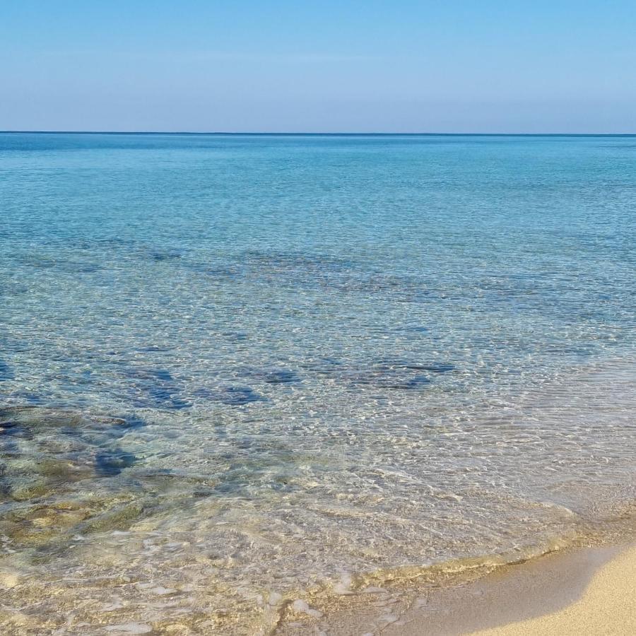 Le Case Di Pat - Palms Home San Pietro in Bevagna Kültér fotó