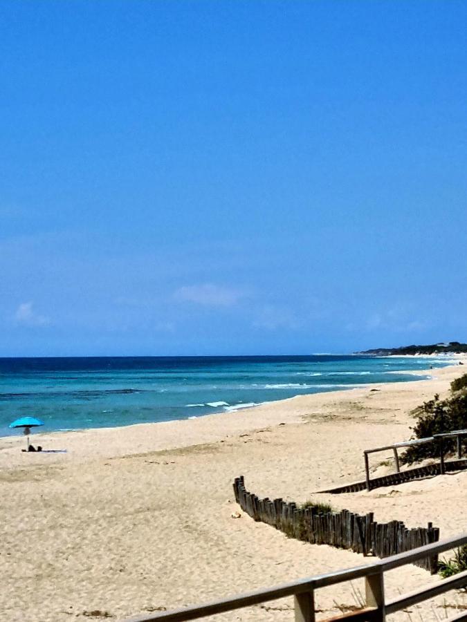 Le Case Di Pat - Palms Home San Pietro in Bevagna Kültér fotó
